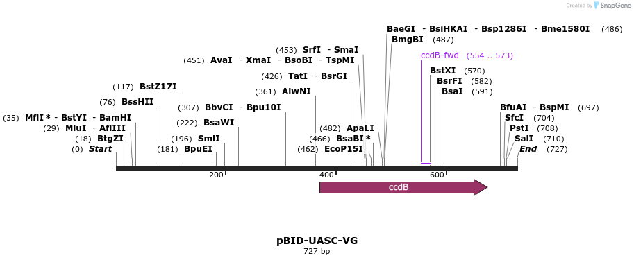 44300_map