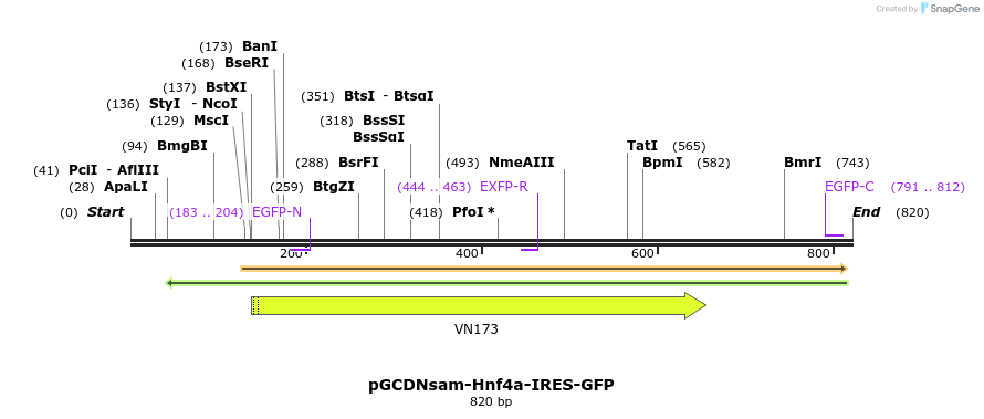 44301_map