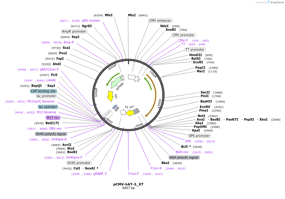 443014_map