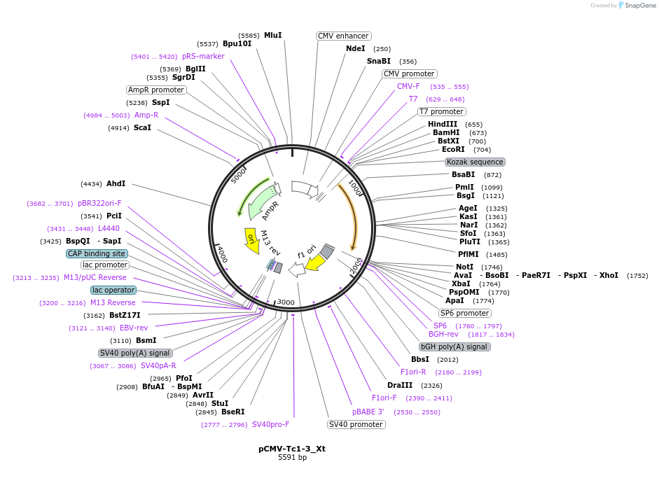 443015_map