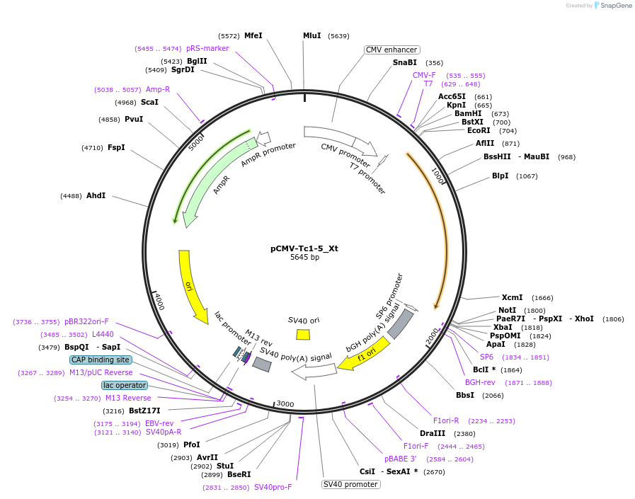 443030_map