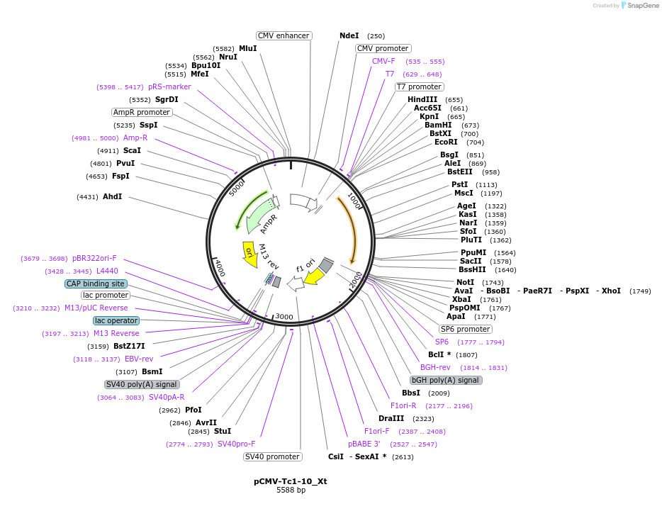 443031_map