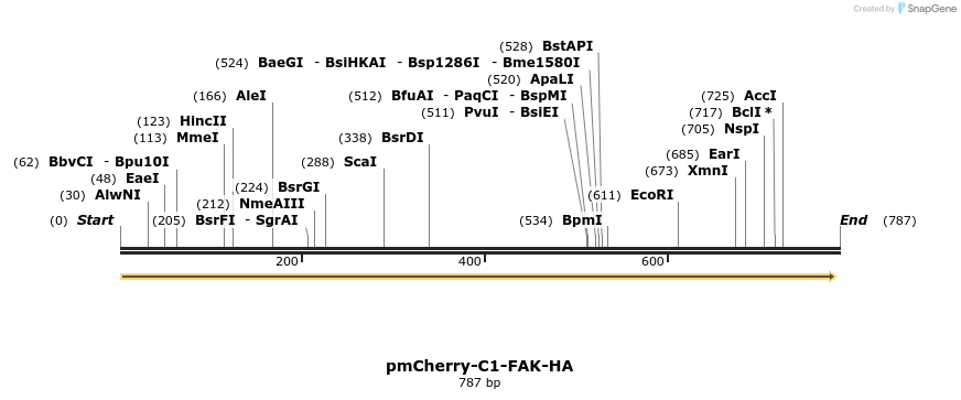 44304_map