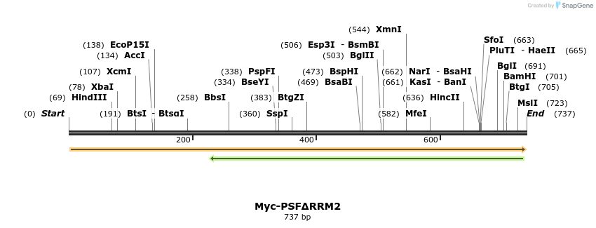 44306_map