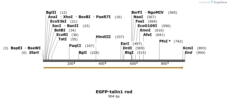 44309_map