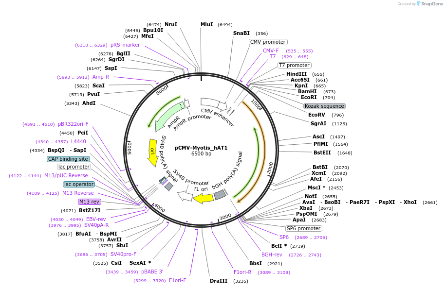 443090_map