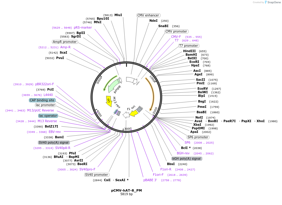 443092_map