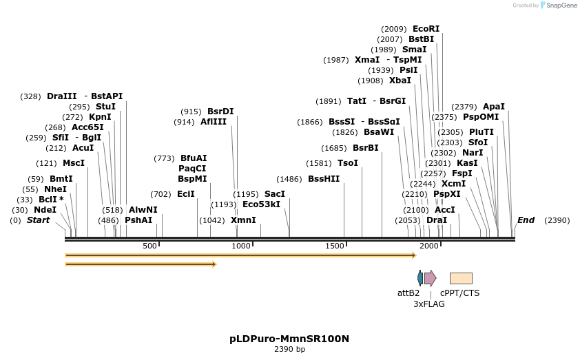 44314_map