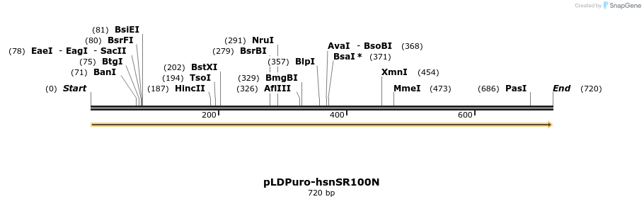 44315_map