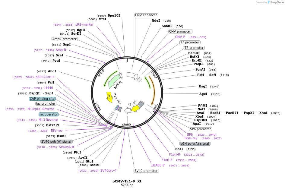 443162_map