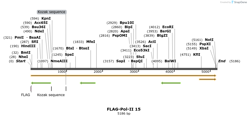 44317_map