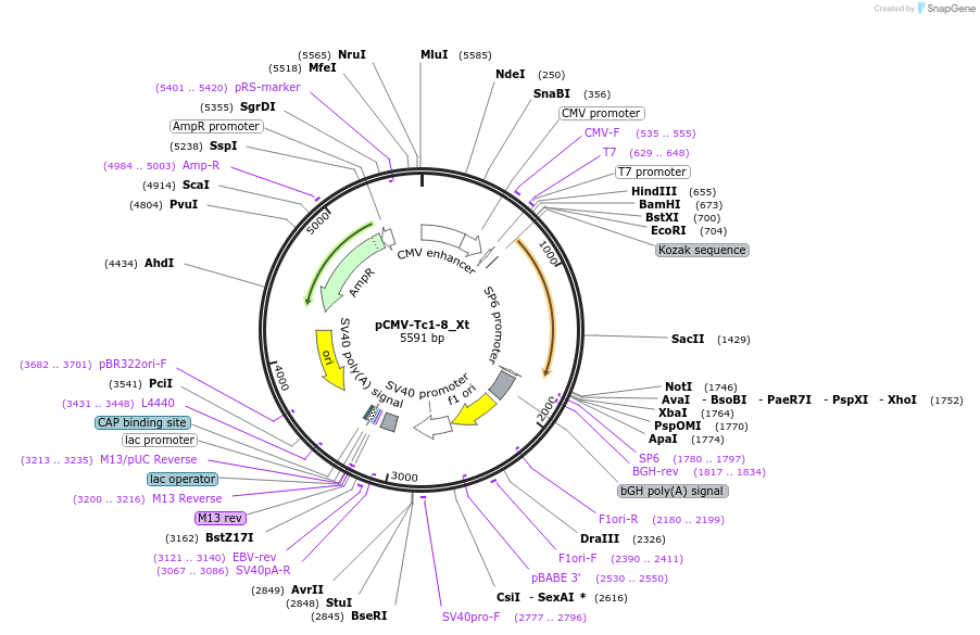 443170_map
