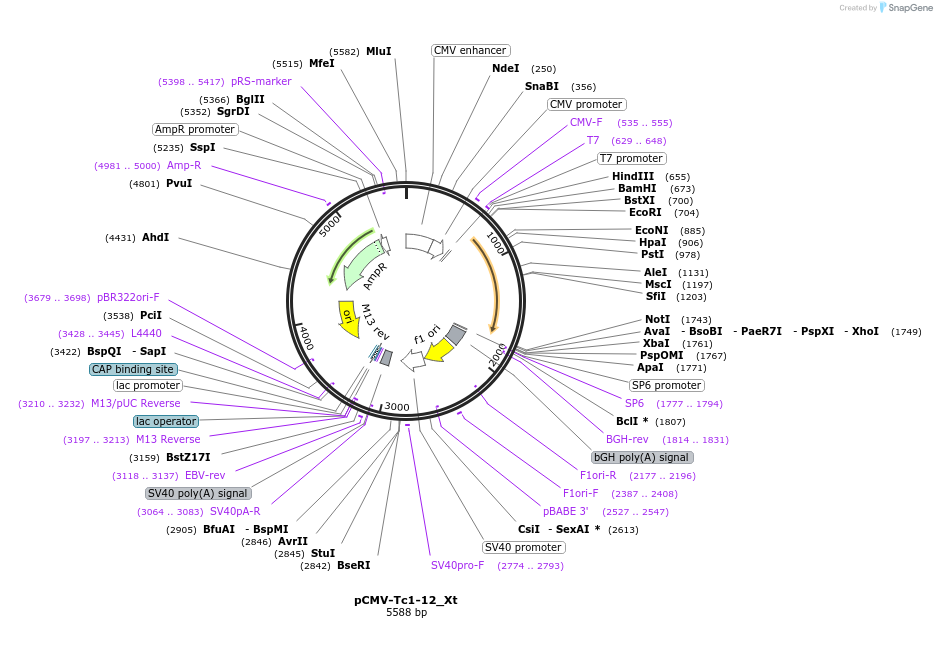 443171_map
