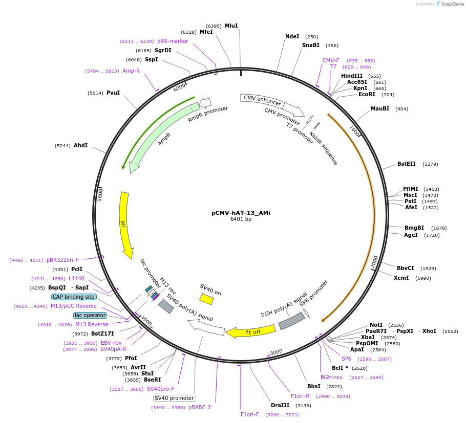 443181_map