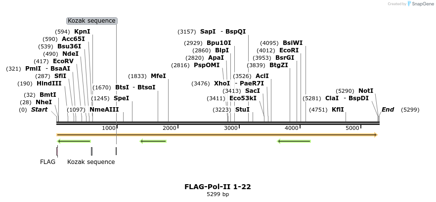 44319_map