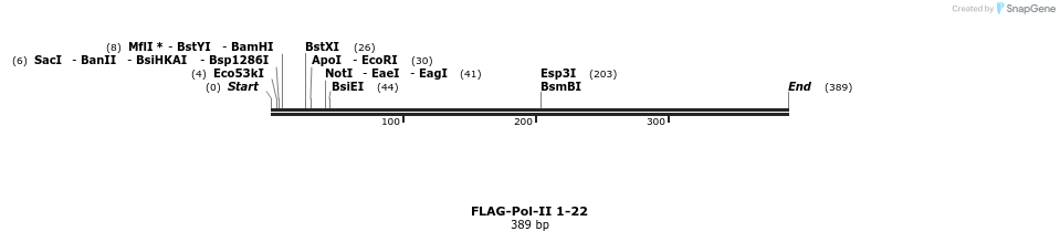 44328_map