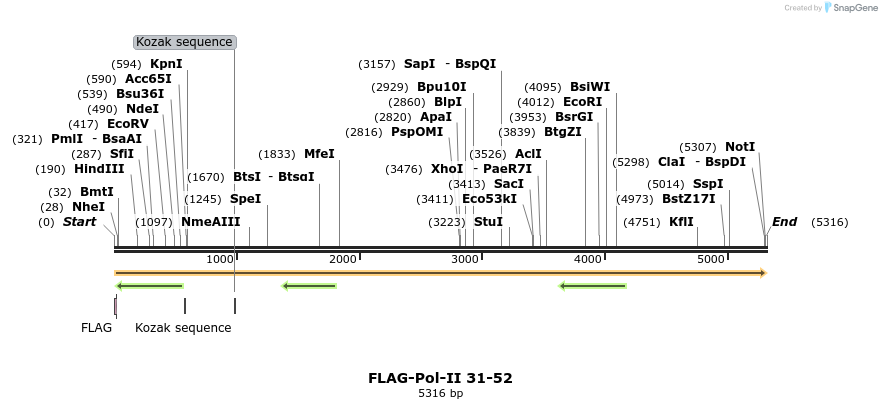 44329_map