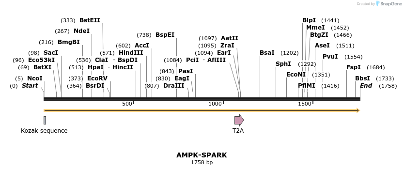443344_map