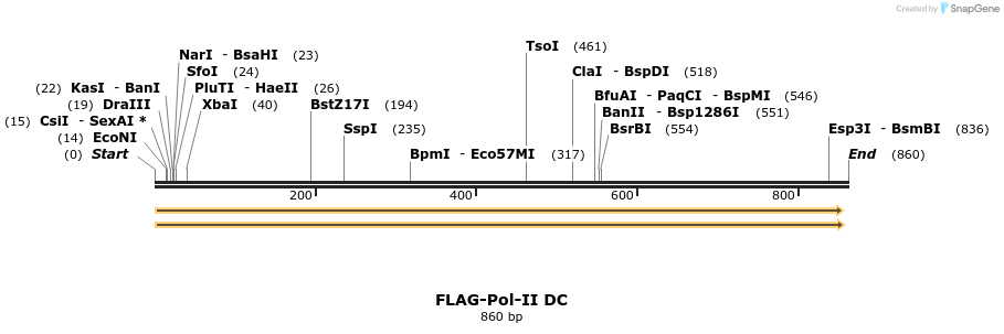 44335_map