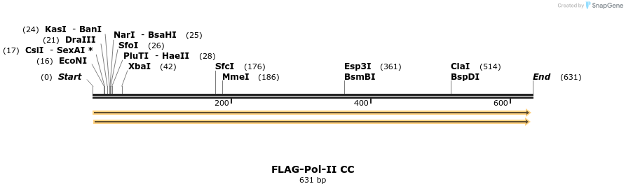 44341_map