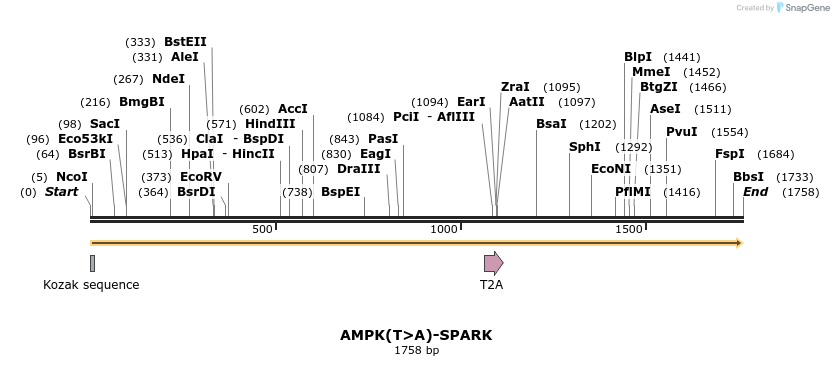 443503_map