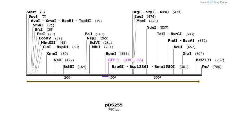 44352_map