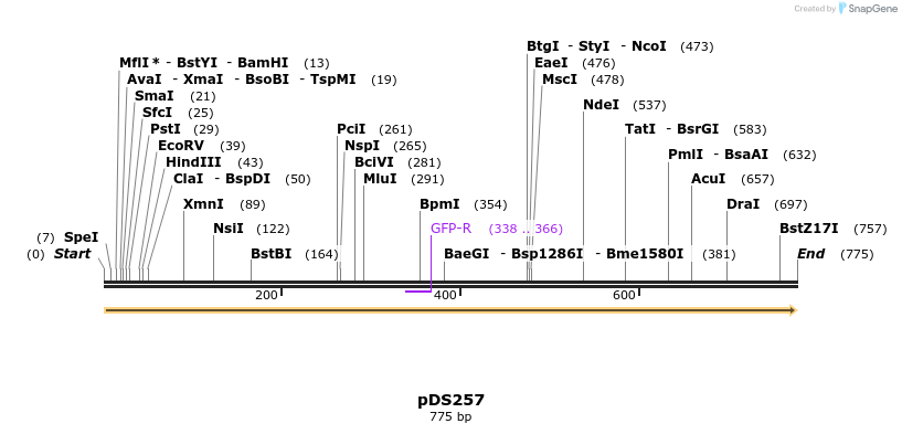 44353_map