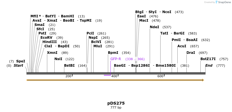 44354_map