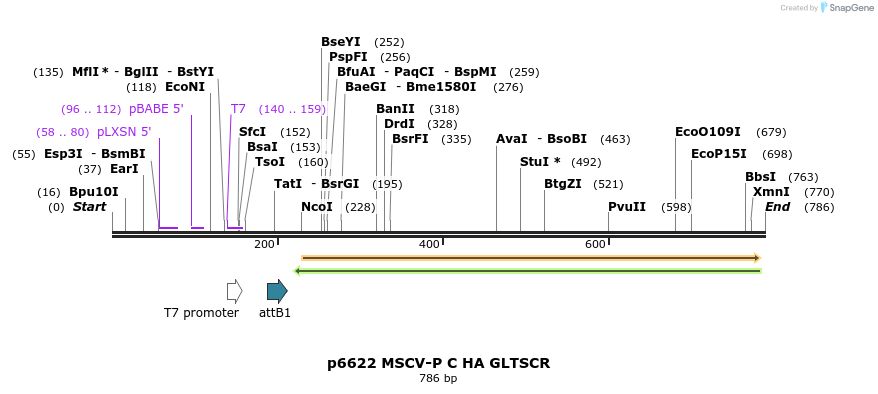 44356_map