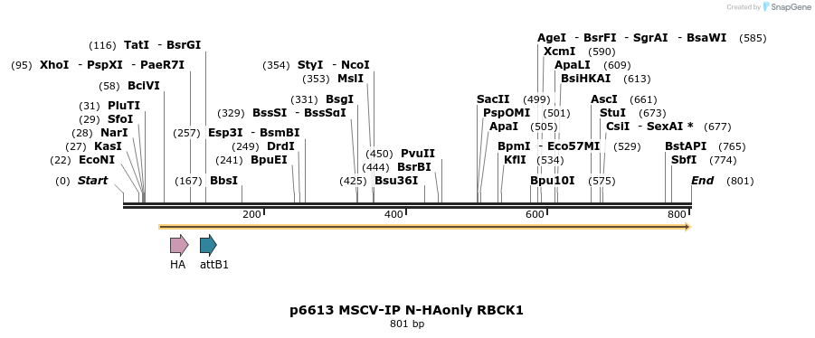 44357_map
