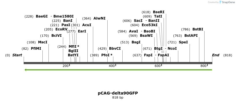 44362_map