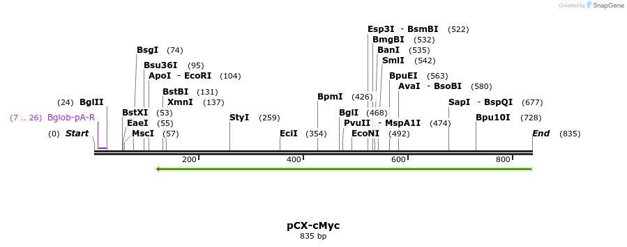 44363_map