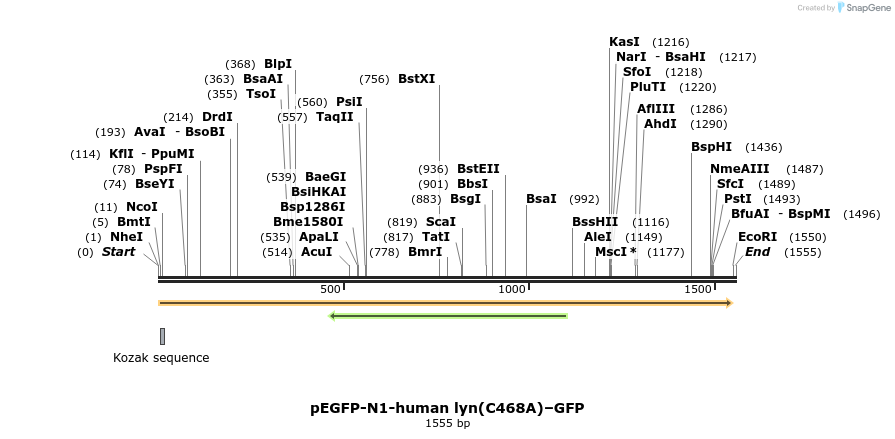 44367_map
