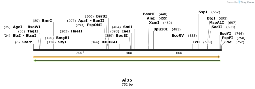 44369_map