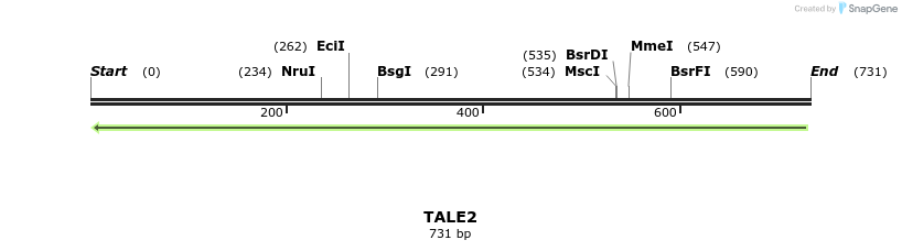44378_map
