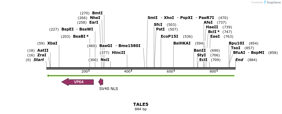 44384_map