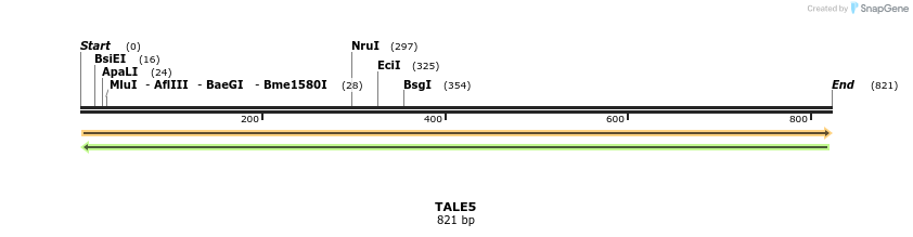 44385_map