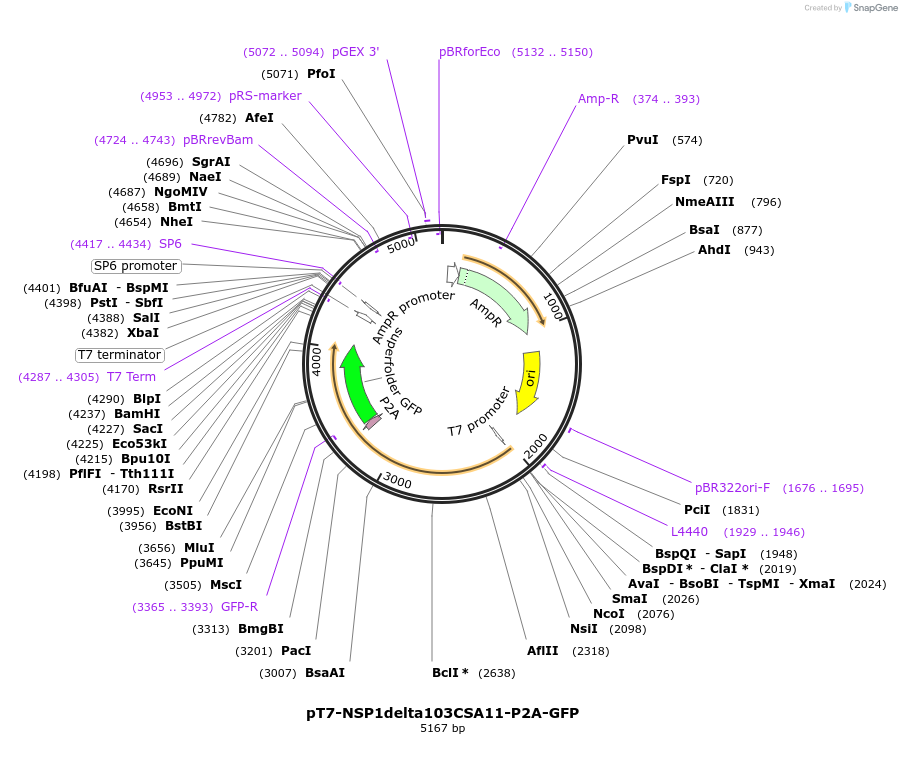 443928_map