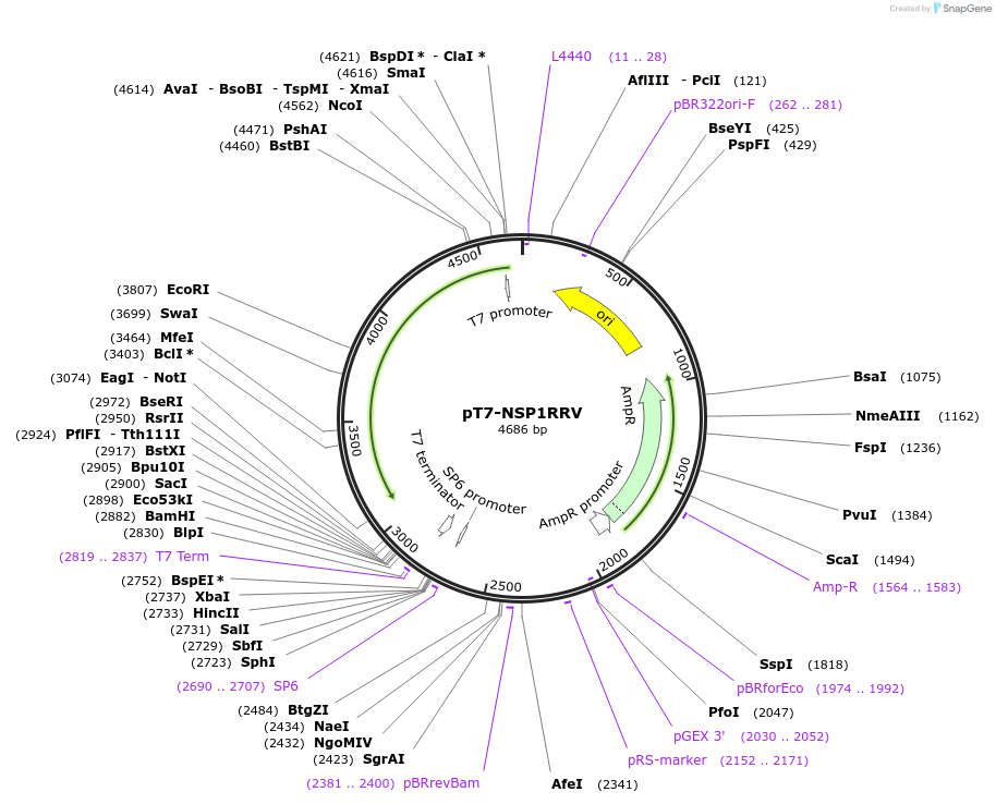 443933_map