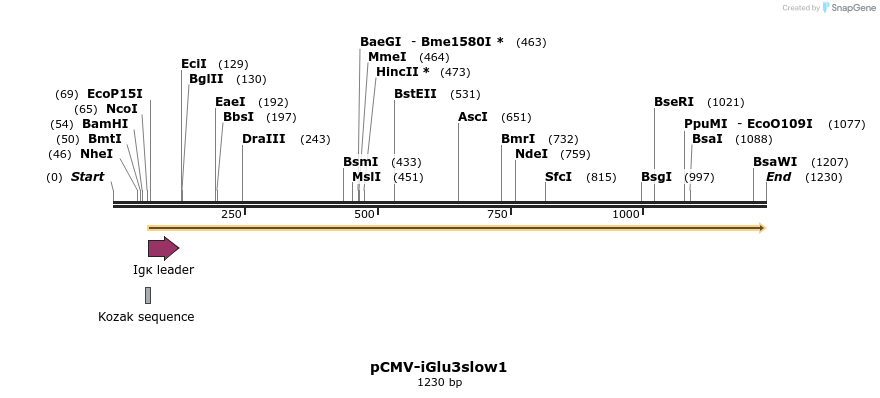 443986_map