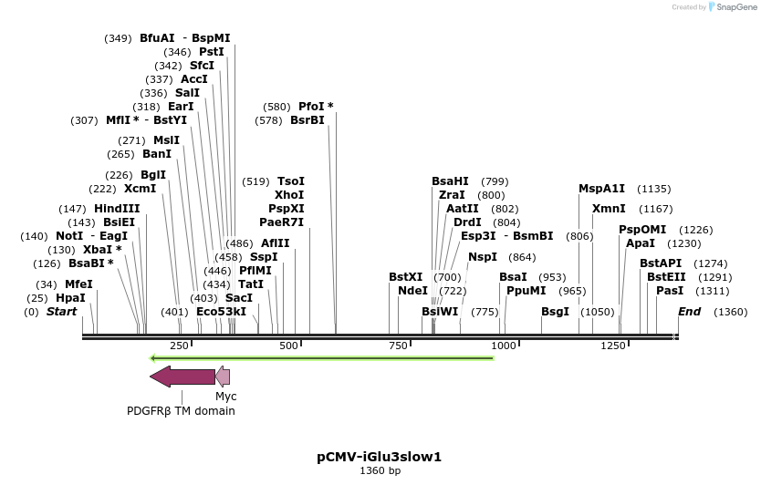 443987_map