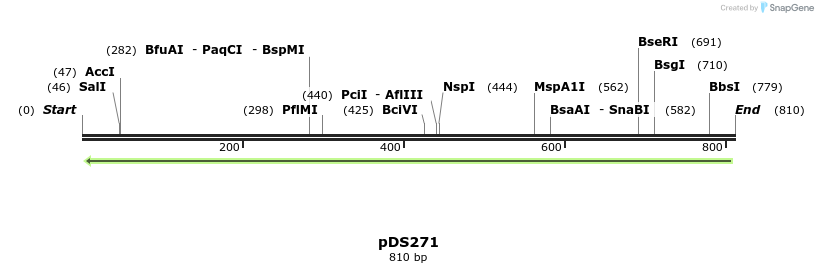 44400_map