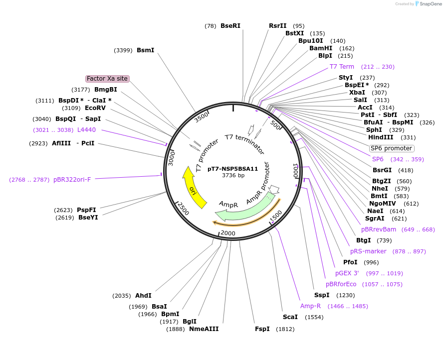 444009_map