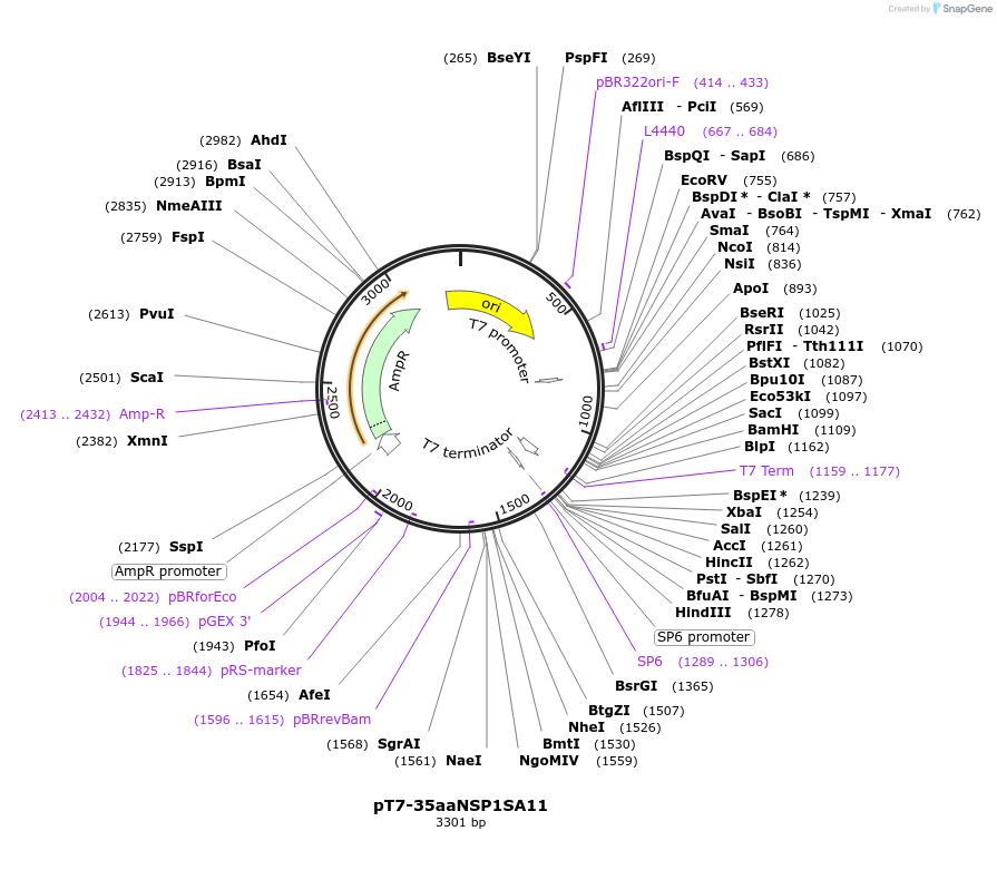 444016_map