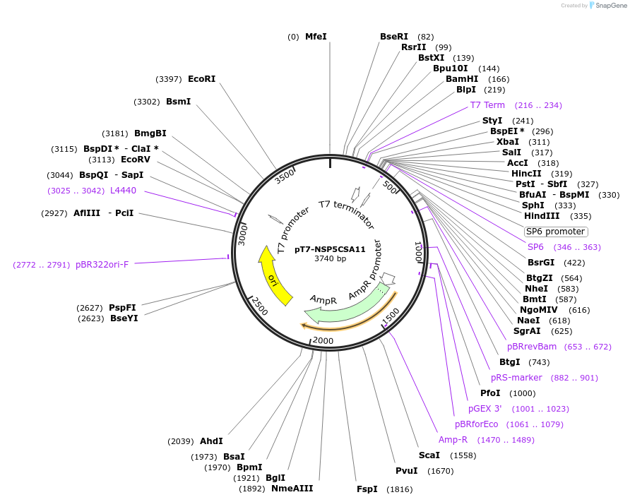 444026_map