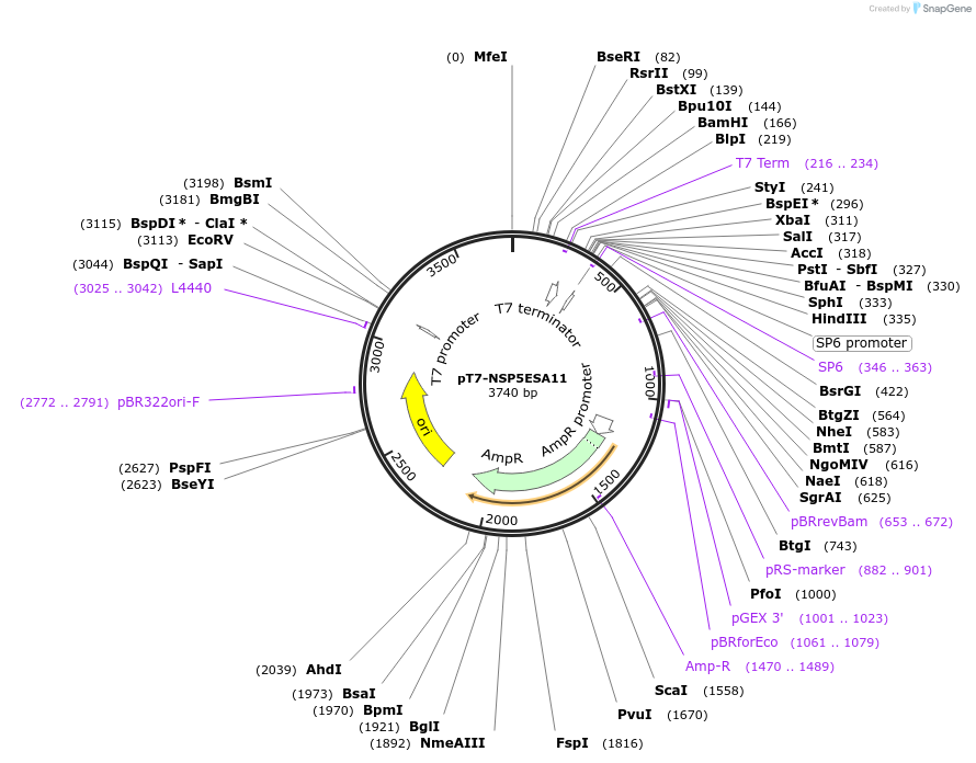 444028_map