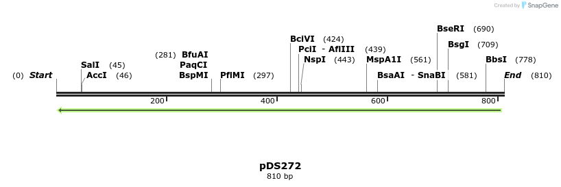 44403_map