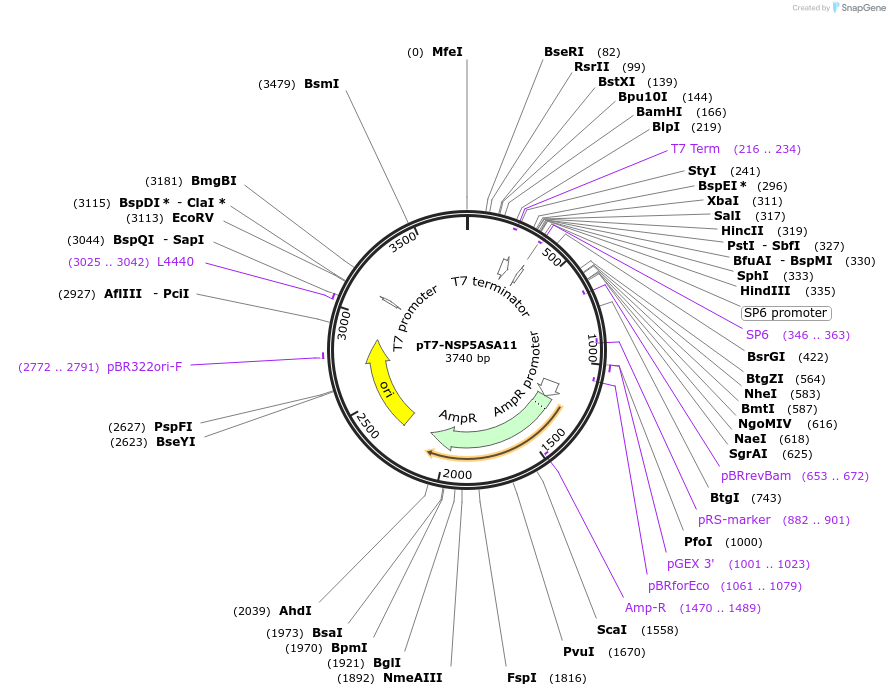 444111_map