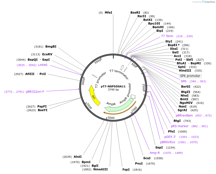 444118_map