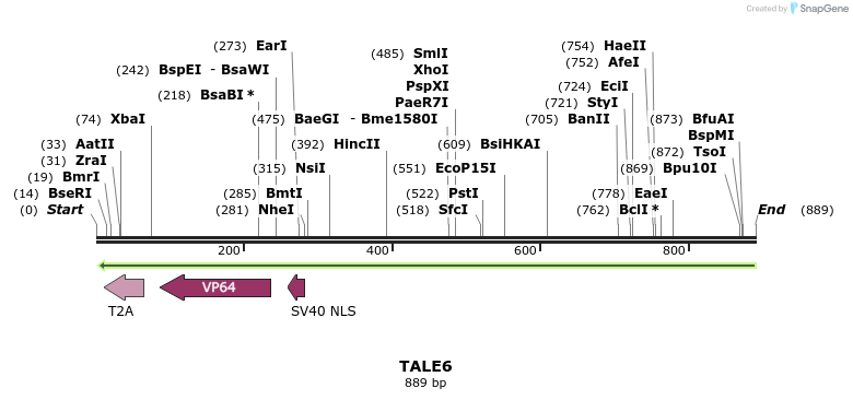 44413_map